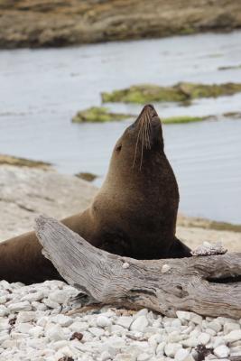 noooooooooooch ne Robbe